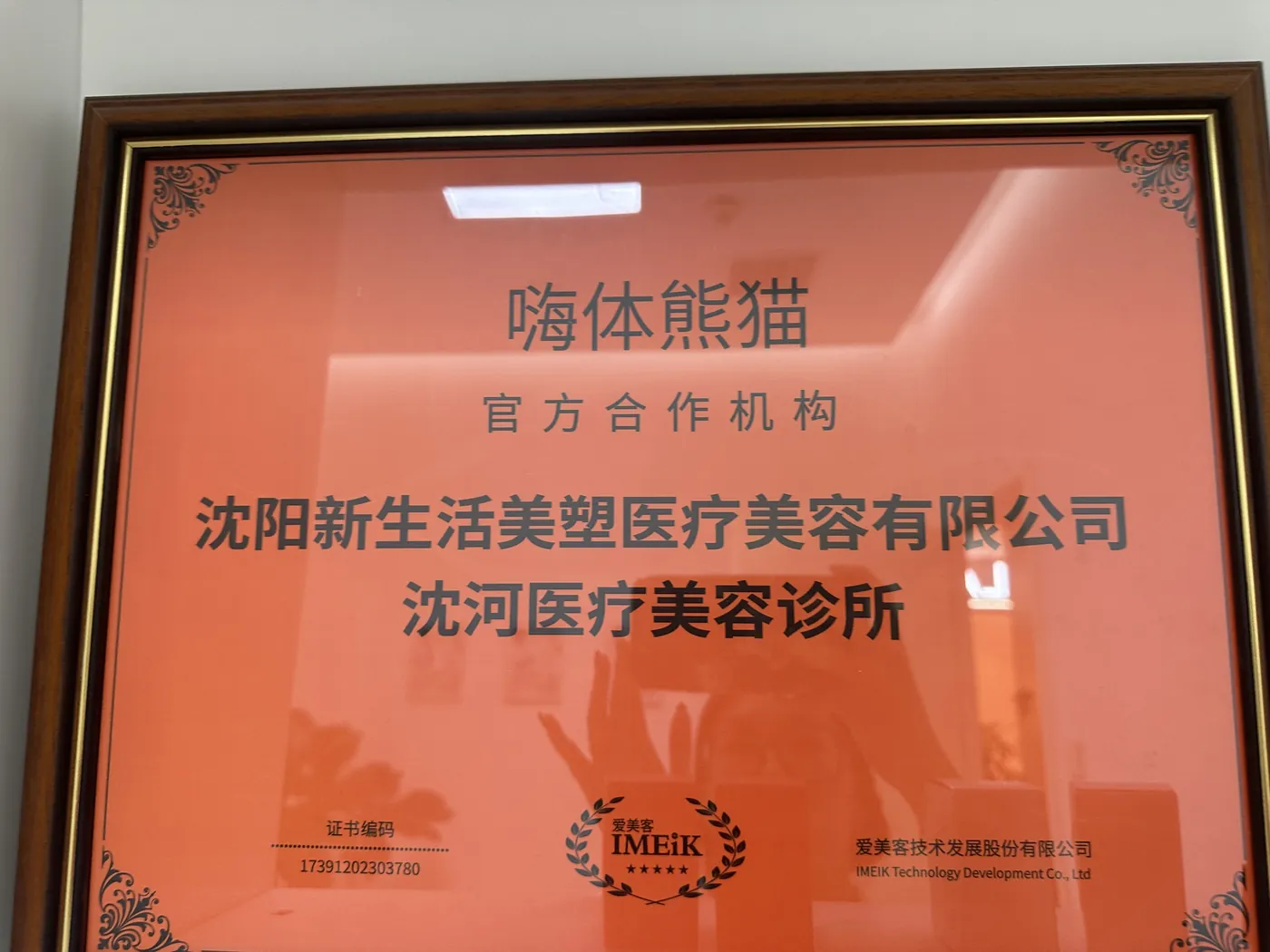 嗨体熊猫合作资质实拍
